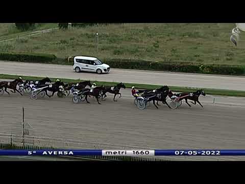 Aversa trotto 7 Maggio 2022 - 5° Corsa