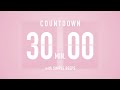 30 Min Countdown Flip Clock Timer / Simple Beeps 🌸🔔