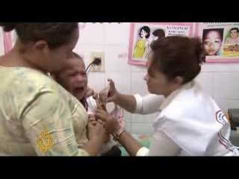 Paraguay scrambles to control yellow fever - 29 Feb 08