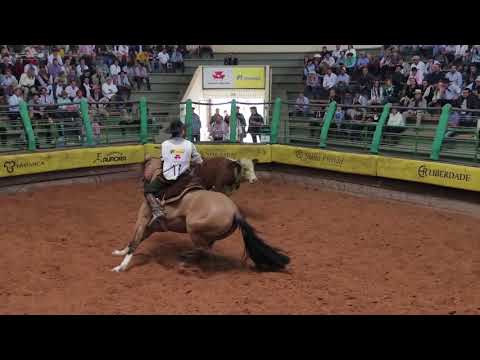 Expo FICCC 2018 - Prova Mangueira 1