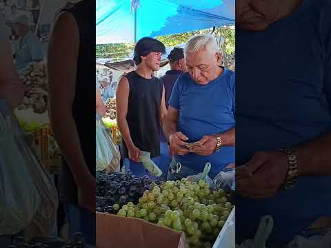 FEIRA DE CANAPI AL