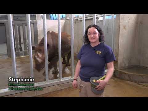 Training with Rhino Kianga