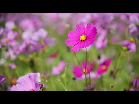 TIME  ON  OUR  SIDE   -  (Ten Towers)