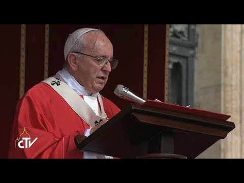 El Papa no quiere “cristianos de salón” sino “apóstoles en camino”