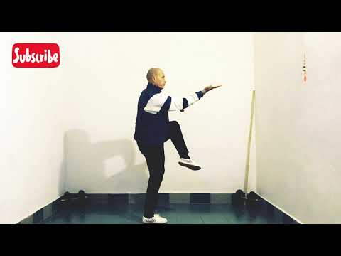 Shaolin Wu Bu Quan - Five Stances Form Part 2 | USA Shaolin Temple Argentina