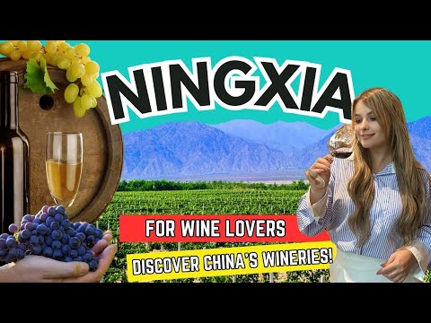 DAY 2 | NINGXIA : A Must-Visit Region in China for Wine Lover