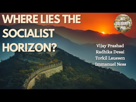 What is the path toward socialism? (Vijay Prashad, Radhika Desai, Torkil Lauesen, Immanuel Ness)