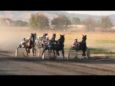 Trka "Faraon Stone" 11.10.2018 Alfa M.G.-Milinko Gajić