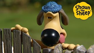 Download lagu 🎬🐑 Shaun the Sheep Movie‑Style Marathon! – Cartoons for Kids | Full Episodes Compilation [1 Hour] mp3