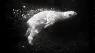 Jean François Jenny Clark - Ozone ( Unison )