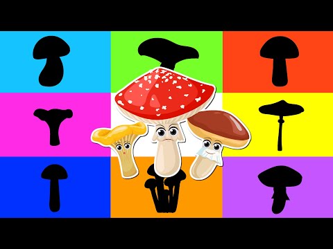Dopasuj grzyby - Bajka edukacyjna - Grzybobranie dla dzieci