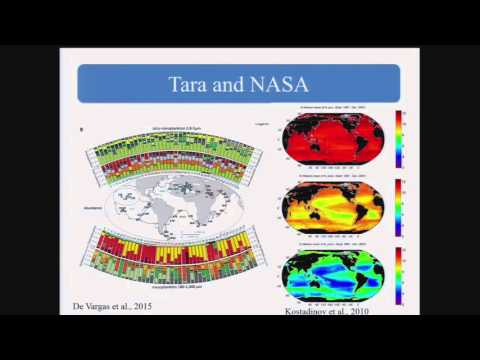The Science of Tara Oceans - Work in the pipeline - E. Boss