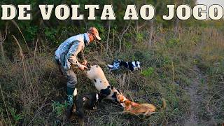 NÃO PODEMOS PARA!  | JAVALI BRASIL | #repost