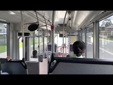 Interline Mercedes-Benz OC 500 LE/Custom Bus 'CB80' (Voith)