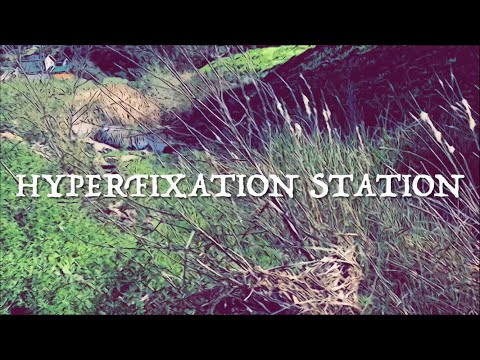 Morbid Fascinations: Spooky Psychology