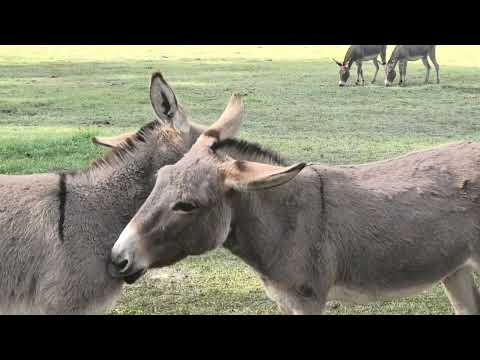 Bernd-Rüdiger Ristow: MOUNTAIN MOMENTS ...
