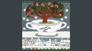 James Yorkston - You & Your Sister (Official Audio)