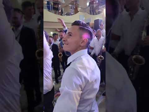 nicoara cioranu si codruta