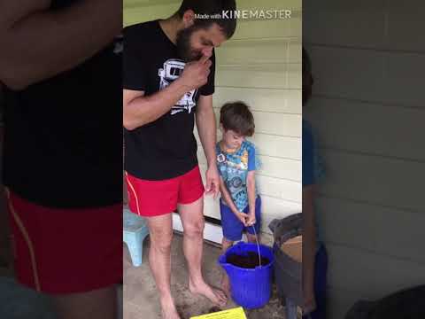 Worm farm tutorial can o worms