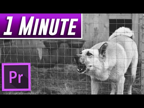 Premiere Pro Podcast Voice Tutorial