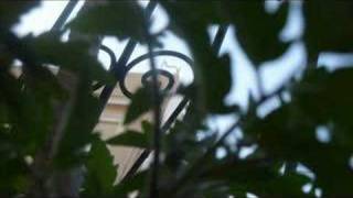 DUKE ELLINGTON.Boo-Dah