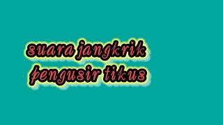 Download lagu 2jt x ditonton.. suara jangkrik pengusir tikus paling ampuh.. #shorts mp3