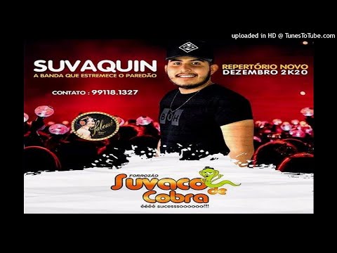 Forrozão Suvaco de Cobra - Repertório Novo Dezembro 2K20