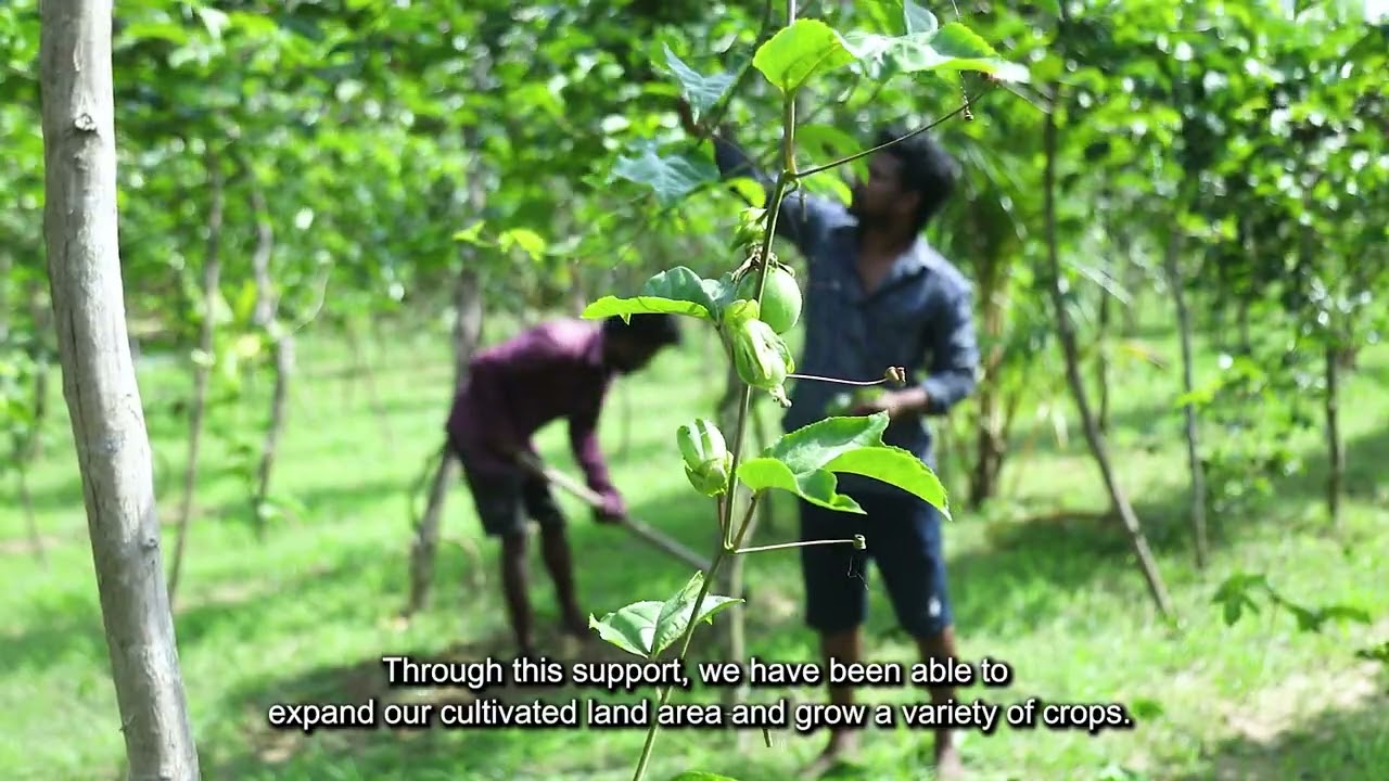 Inspired by Hope-Solar Irrigation for Commercial Farming 1