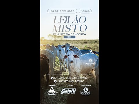 LEILÃO MISTO 04/12/2025 - IRAÍ LEILÕES - IRAÍ DE MINAS-MG