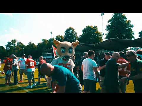 Late Hit on Carsten Spengemann