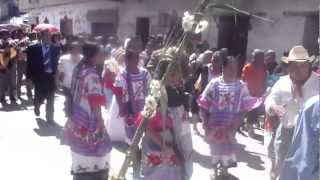 preview picture of video 'Boda en Huautla de Jiménez, Oaxaca.'
