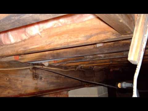 Guston, KY Moldy Crawlspace Remediation