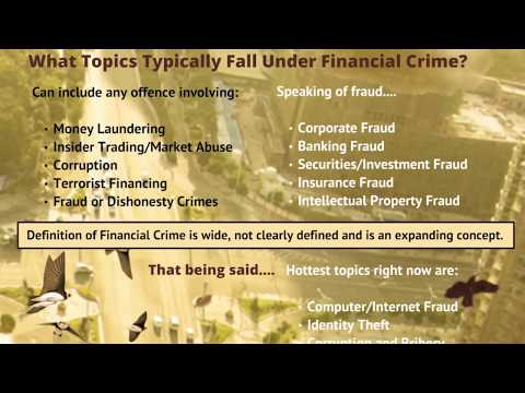 What is Financial Crime?