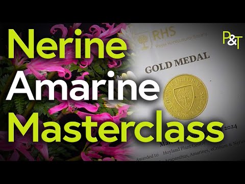 Amarine & Nerine Masterclass - Pots & Trowels