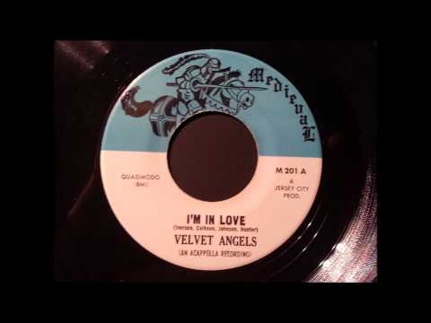 I,m In Love   The Velvet Angels  1964