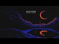 Pehli Si Muhabbat OST - Ali Zafar (slowed + reverb)