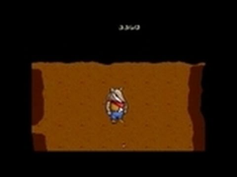 The Wild West Nintendo DS