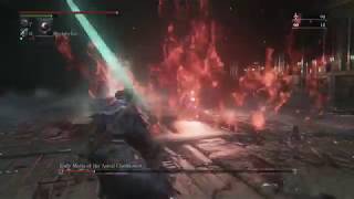 Arcane and Blacksky Eye are useless, they said (Bloodborne)