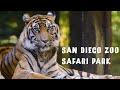 4K San Diego Zoo Safari Park Walking Tour Sandiego California Wildlife Zoo Safari