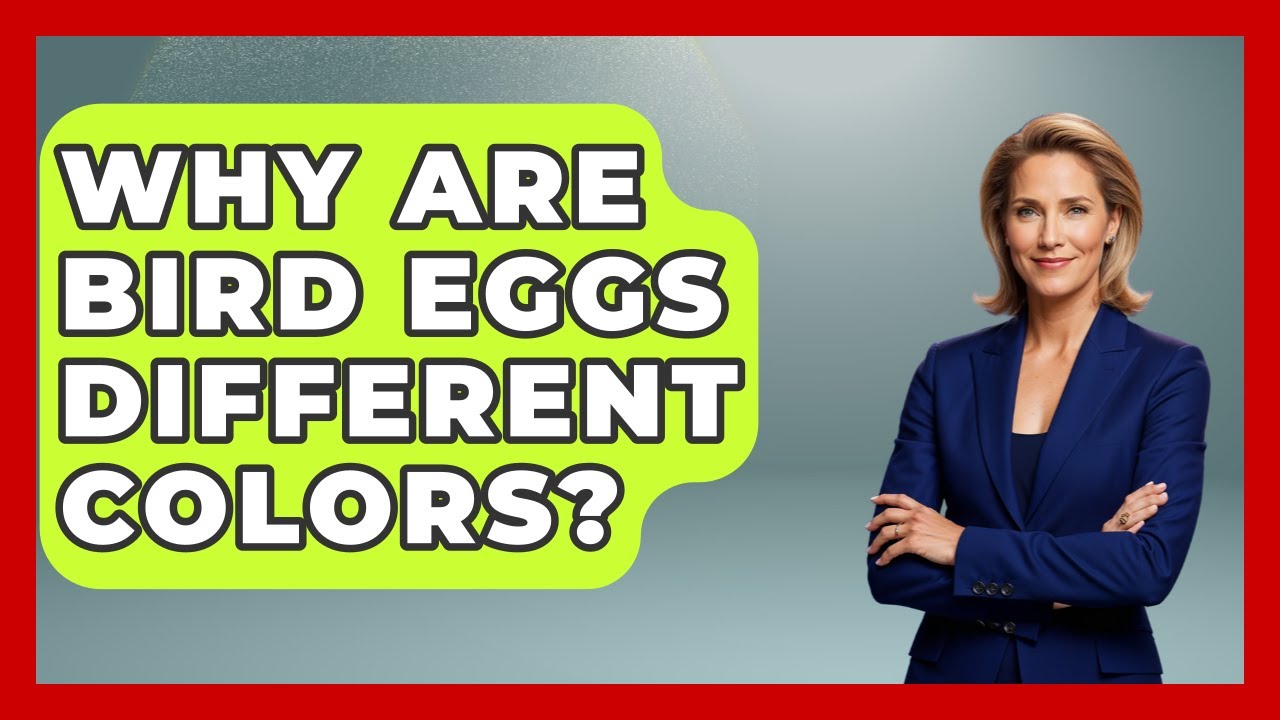 Why Are Bird Eggs Different Colors? - Bird Watching Diaries
