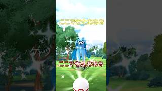 色違いザシアンに背景を…🐶⚔🔥大いなる軌跡4日目‼️#ポケモンgo #pokemongo #pokemongoshorts