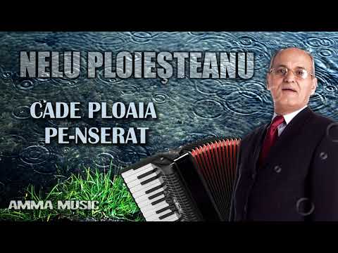 MUZICA DE PETRECERE – NELU PLOIESTEANU - CADE PLOAIA PE-NSERAT