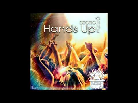 [ConspiracyHouse 009] Section Onne - Hands Up (Original Mix)
