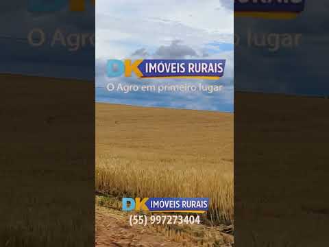 🚜 ALTA PERFORMANCE AGRÍCOLA ENTRE ROSÁRIO DO SUL E CACEQUI! 🌾