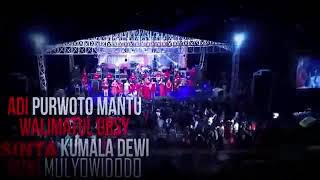 Download lagu Cinta terlarang - Devi aldiva - new pallapa mp3