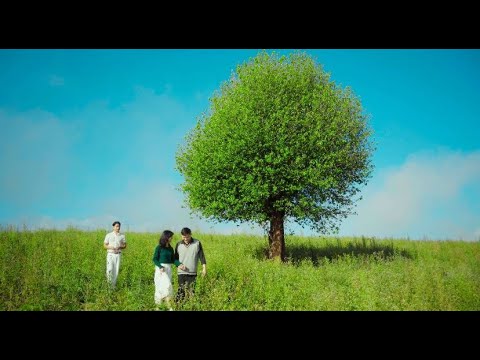 Daisy [Official Music Video] #Kriz #Adam