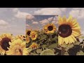 Sunflower Lukrembo