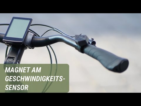 Adjusting the magnet on the speed sensor | Prophete