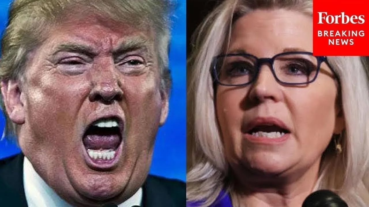 'I Was A Republican Even Before Donald Trump Started Spray-Tanning': Cheney Campaigns With Harris