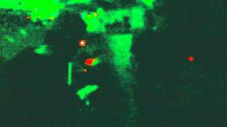 Animal Lover "Solid Gold Hell" (scientists cover) @ Shit Biscuit 02.20.14